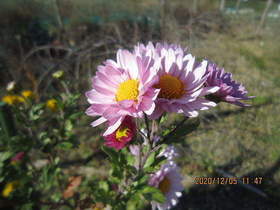 陸前高田ひろば20201205006.jpg
