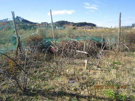 陸前高田ひろば20201205007.jpg