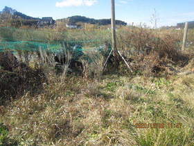 陸前高田ひろば20201205008.jpg