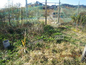 陸前高田ひろば20201205009.jpg