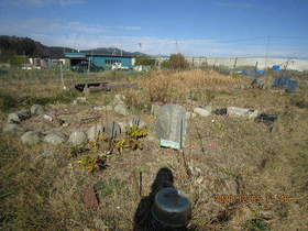 陸前高田ひろば20201205010.jpg