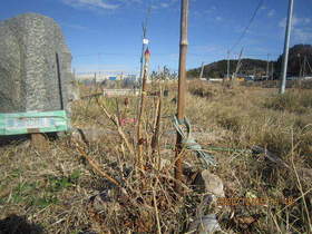 陸前高田ひろば20201205011.jpg