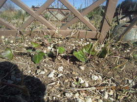 陸前高田ひろば20201205014.jpg