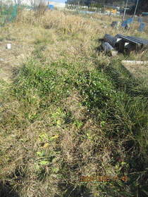陸前高田ひろば20201205018.jpg