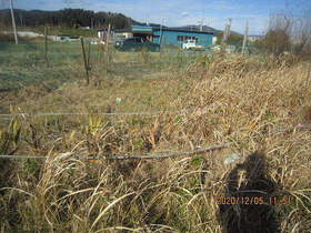 陸前高田ひろば20201205025.jpg