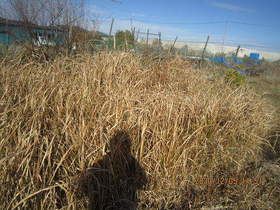 陸前高田ひろば20201205026.jpg