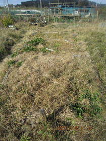 陸前高田ひろば20201205027.jpg