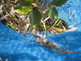 陸前高田ひろば20201205032.jpg