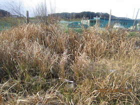 陸前高田ひろば20201205039.jpg