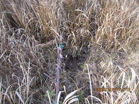 陸前高田ひろば20201205040.jpg