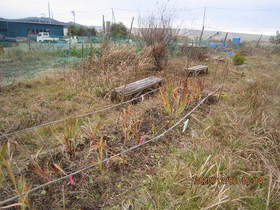 陸前高田ひろば20201205044.jpg