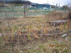 陸前高田ひろば20201205045.jpg