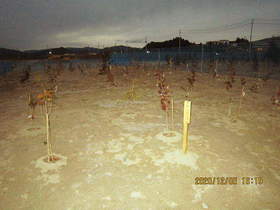 陸前高田ひろば20201205050.jpg