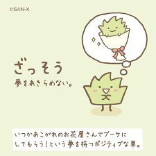 雑草.jpg